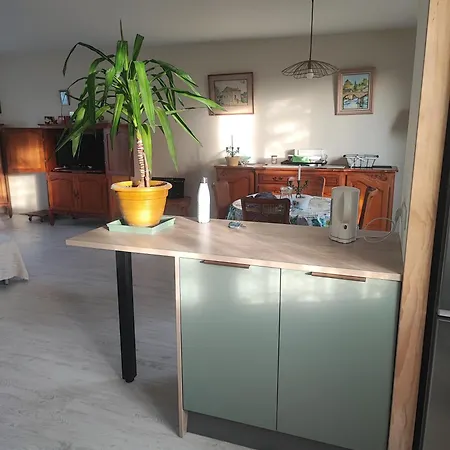 Maison De Famille Dans Quartier Calme Sur L'ile D'oleron * Dolus-d'Oleron